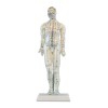 46 cm Male Human Body Anatomical Model: 361 acupuncture points and 80 curious points